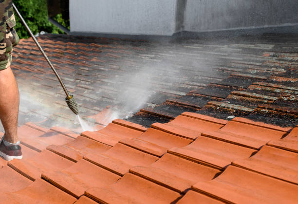 Best Best Pressure Washing Companies  in Carbondale, CO