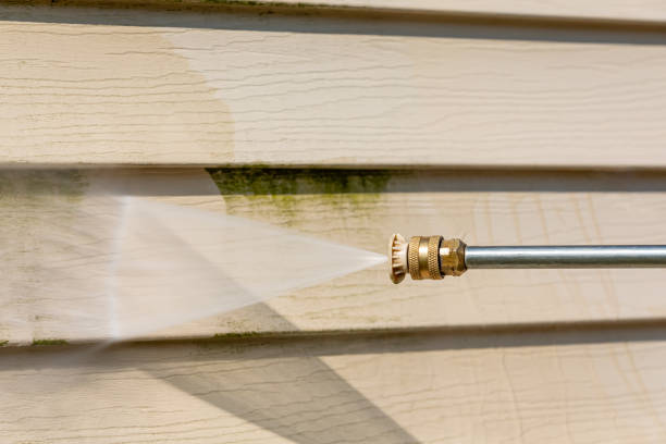 Best Pressure Washing Company Near Me  in Carbondale, CO